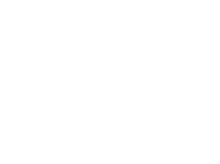 Sneakers Landers
